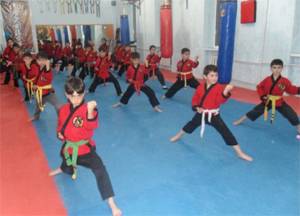 Ecole des sports pour jeunes d'Erevan