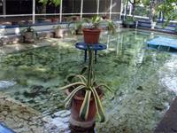 Fountains of the 4th segment of Yeritasardakan park: mosaic basin