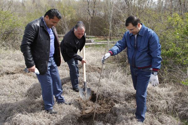 The members of the Council of Elders of Yerevan took part in the clean-up and tree planting