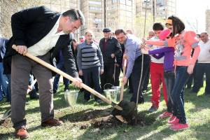 Yerevan Mayor Taron Margaryan also took part in tree planting arranged in yard areas