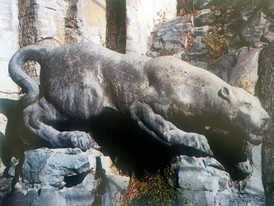 The cat of Yerevan (Panther)