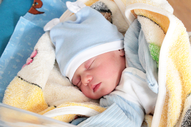 384 babies were born in Yerevan from 12 to 18 of May