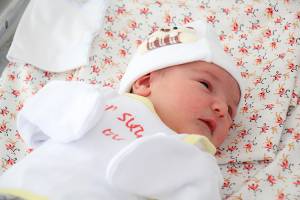 432 babies were born in Yerevan from 20 to 26 of October