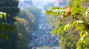 A number of traffic safety program initiated in capital city