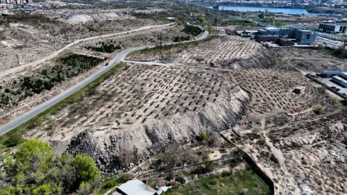 6000 Trees to Be Planted in Yerevan During Spring Tree Planting Actions