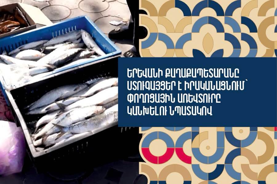 Yerevan Municipality Conducts Inspections to Prevent Street Trading