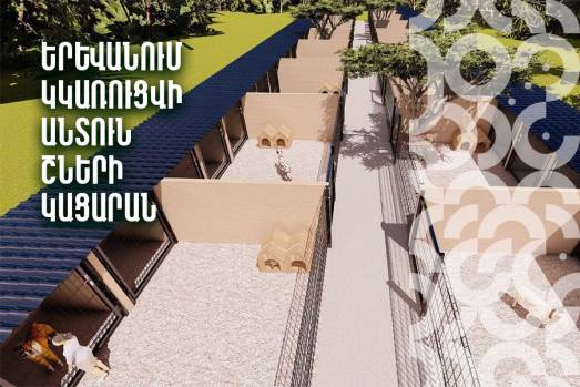 Երևանում կկառուցվի անտուն շների կացարան