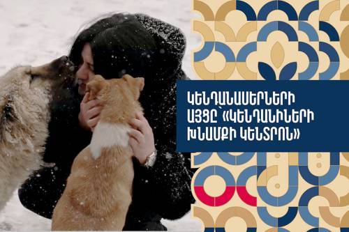 Любители животных посетили «Центр по уходу за животными» мэрии Еревана