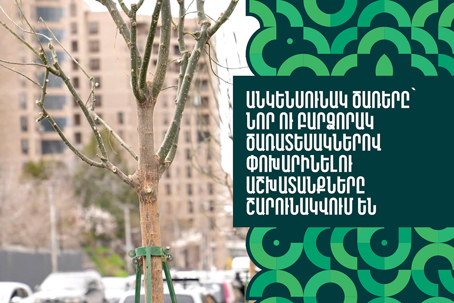 Ongoing Replacement of Non-Viable Trees with High-Quality Species