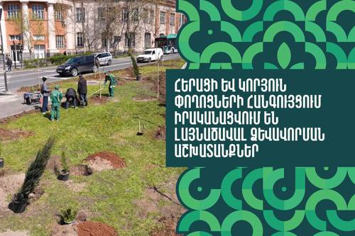 1,000 Trees to Be Planted in One Week from April 13 to 19