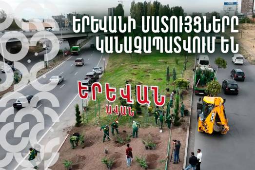 Երևանի մատույցները կանաչապատվում են