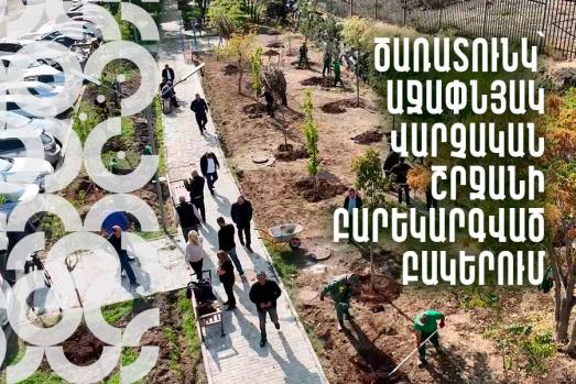 Ծառատունկ՝ Աջափնյակ վարչական շրջանի բարեկարգված բակերում