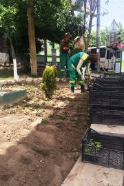 Մայրաքաղաքը կզարդարեն շուրջ 2 միլիոն ծաղիկներ