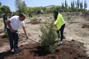 Ծիծեռնակաբերդի բարձունքի՝ համայնքին պատկանող տարածքում արդեն իսկ 420 ծառ և թուփ է տնկվել