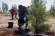 Ծիծեռնակաբերդի բարձունքի՝ համայնքին պատկանող տարածքում արդեն իսկ 420 ծառ և թուփ է տնկվել